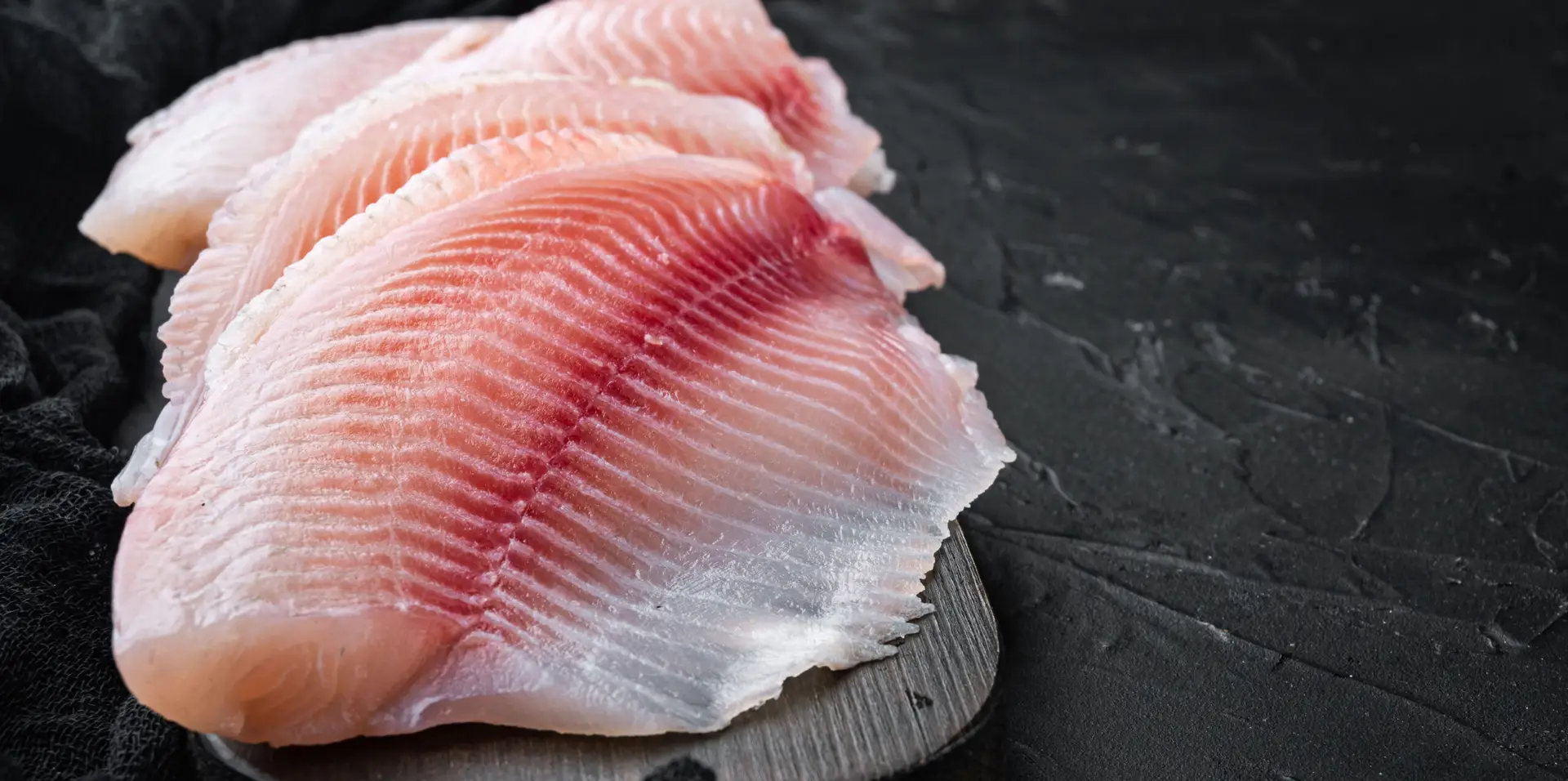 JOB 0022 - Produtos Galeria Pescados